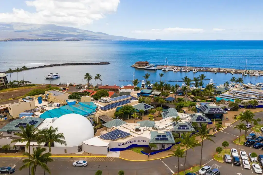 Humpbacks of Hawaiʻi & Sphere - Maui Ocean Center